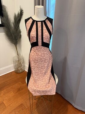 Sleeveless Pink Lace-Texture Sheath Dress with Black Contrast